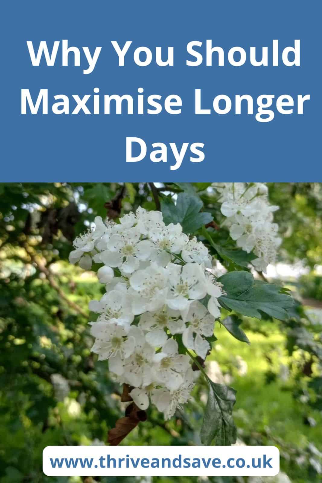 Most of Longer Days