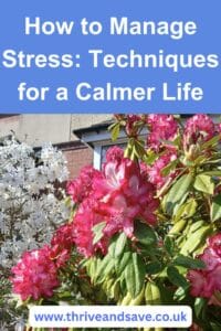 How to Manage Stress