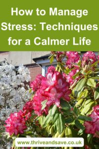 How to Manage Stress