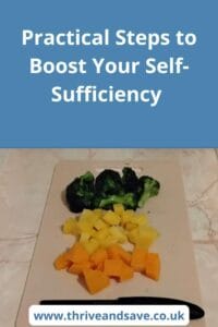 Self-Sufficiency