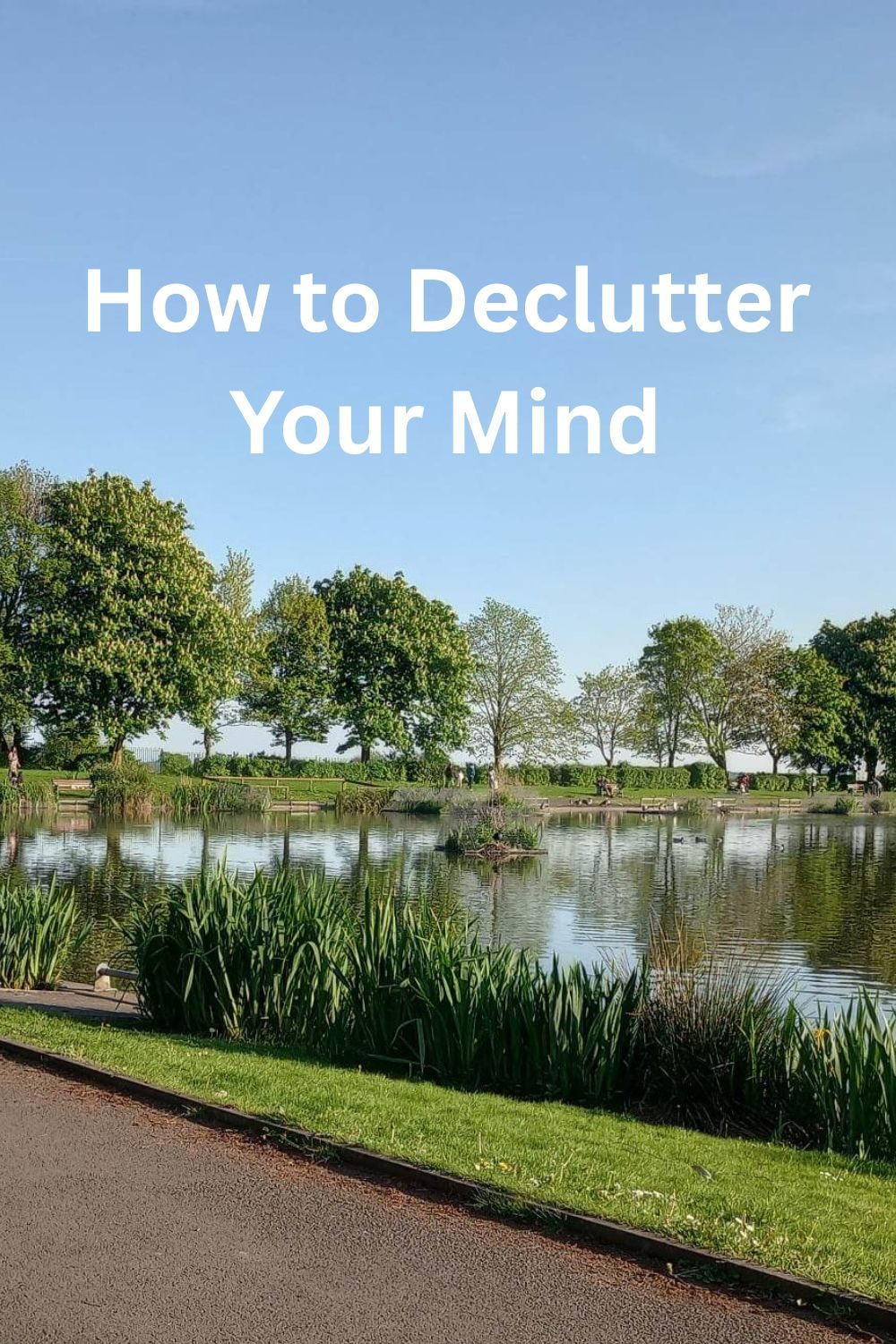 declutter mind (2)